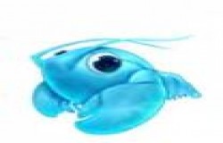 摩尔庄园冰晶龙虾在哪里钓 摩尔庄园冰晶龙虾钓鱼点 摩尔庄园冰晶龙虾在哪里钓 摩尔庄园冰晶龙虾钓鱼点