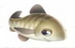 摩尔庄园青鱼在哪里钓 摩尔庄园青鱼钓鱼点 摩尔庄园青鱼在哪里钓 摩尔庄园青鱼钓鱼点